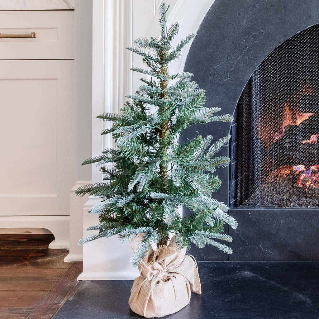 King of Christmas 3' King Noble Fir Tabletop Tree with 70 Warm White LED Lights