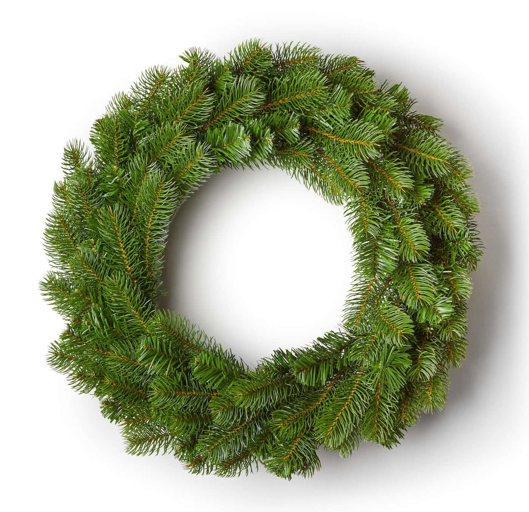 King of Christmas 24" King Douglas Fir Wreath Unlit