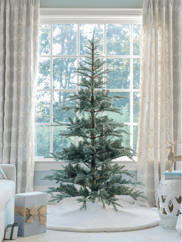 King of Christmas image host
