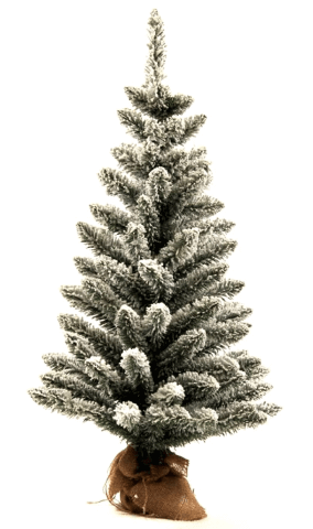 King of Christmas image host