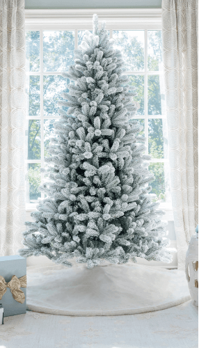 King of Christmas image host