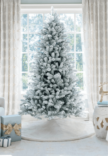 King of Christmas image host