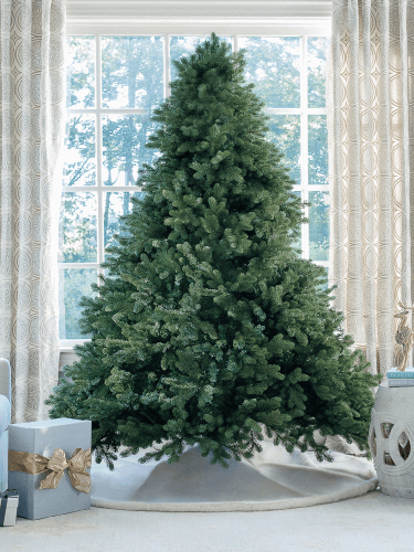 King of Christmas image host